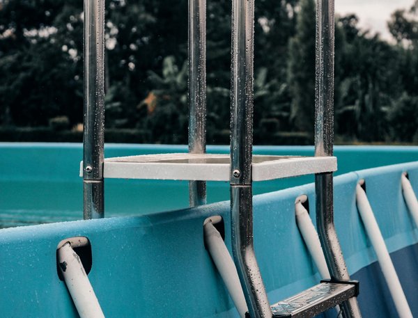 Growing mint in pots: how to enjoy fresh herbs without the chaos